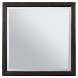 Emberlyn Dresser Mirror Brown