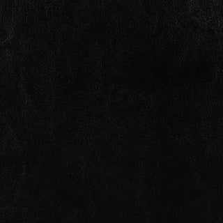 Dorian Faux Leather Upholstered Queen Panel Bed Black