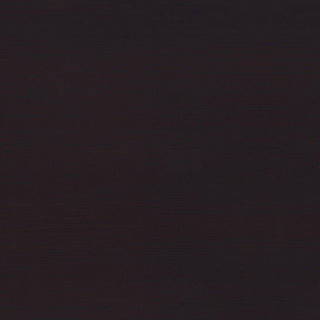 Tracy 55-inch 2-drawer Office Computer Desk Cappuccino