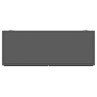 Dalia 2-door Accent Storage Cabinet with Shelving Black