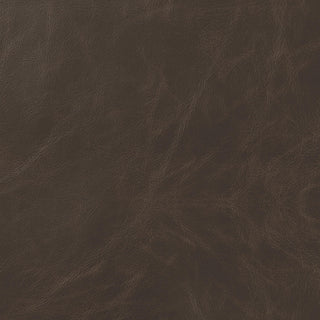 Michelle Upholstered Counter Chair Brown (Set of 2)