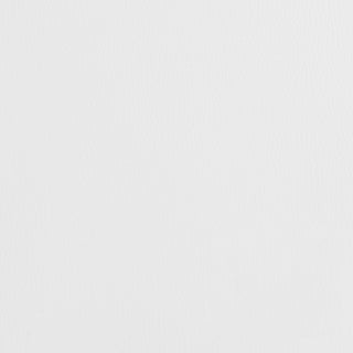 Ramses Adjustable Backless Bar Stool Chrome and White