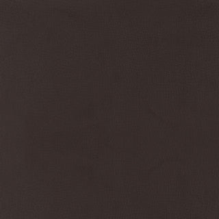 Brandi Adjustable Bar Stool Chrome and Brown