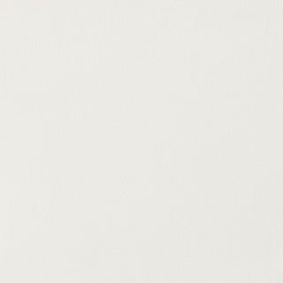 Kerwin Velvet Upholstered Dining Side Chair White (Set of 2)