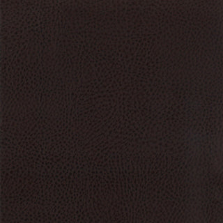 Dewey Upholstered Counter Chair Walnut (Set of 2)