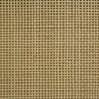 Arini Rattan Queen Panel Bed Black and Natural