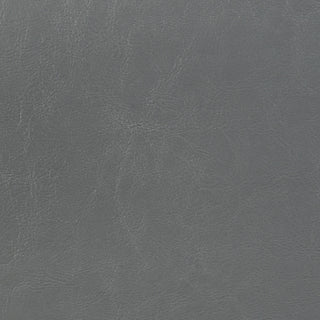 Dorian Faux Leather Upholstered Queen Panel Bed Grey