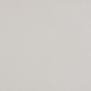 Sanger Upholstered Power Lift Massage Recliner Champagne