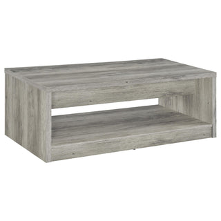 Felix 2-drawer Engineered Wood Coffee Table Grey Driftwood