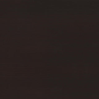 Halston 47-inch 2-drawer Office Desk with Cabinet Cappuccino