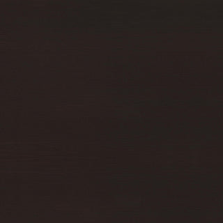 Lawtey 60-inch 2-drawer Office Computer Desk Cappuccino