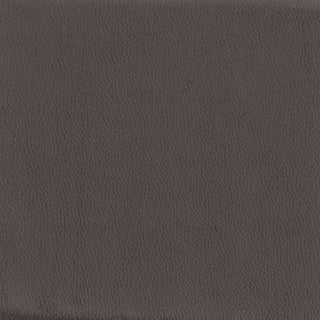 Aloma Upholstered Tufted Armless Accent Chair Brown