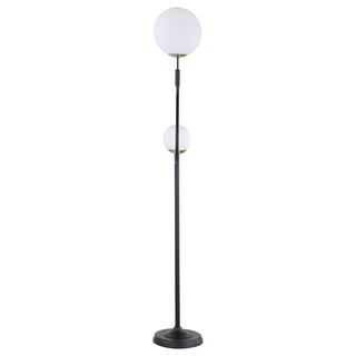 Dacki 69-inch Dual Spherical Bulb Metal Floor Lamp Black