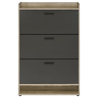 Denia 3-tier Engineered Wood Shoe Cabinet Grey