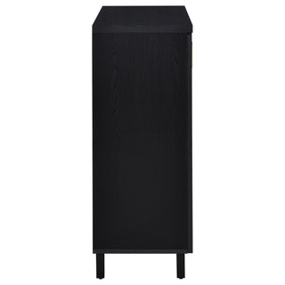 Brixton 2-door Entryway Shoe Storage Cabinets Black