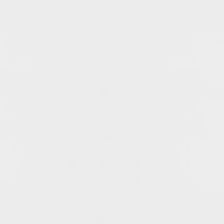 Elsa 2-door Wood Storage Accent Cabinet White and Gold