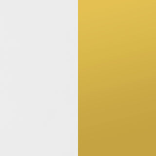 Elsa 2-door Wood Storage Accent Cabinet White and Gold