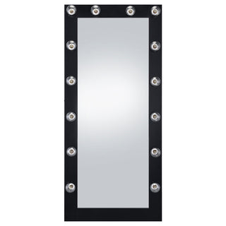 Zayan 32 x 71 Inch Floor Mirror LED Lighting Black Gloss