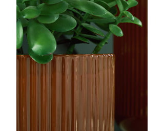 Avalyah Vase (Set of 2)