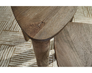 Reidport Accent Coffee Table (Set of 2)
