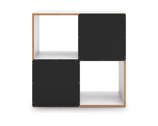 Onita Four Cube Organizer
