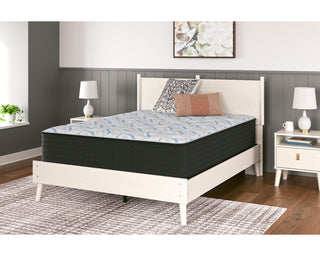 Elite Springs Plush California King Mattress