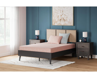 Dinsmore Twin over Full Bunk Bed with Mattresses