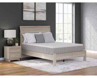 Terra Sleep Medium Queen Mattress