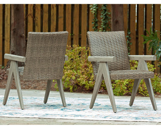 Cliff Trails Outdoor Arm Chair (Set of 2)