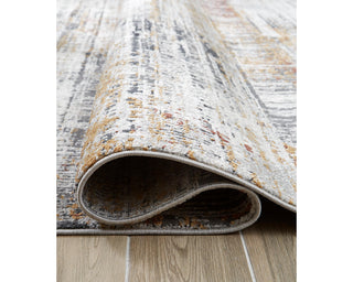 Rhettner 5'3" x 7'3" Rug