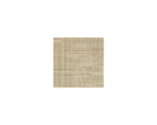 Janston 5' x 7' Rug