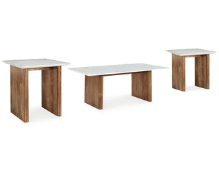 Isanti Coffee Table and 2 End Tables